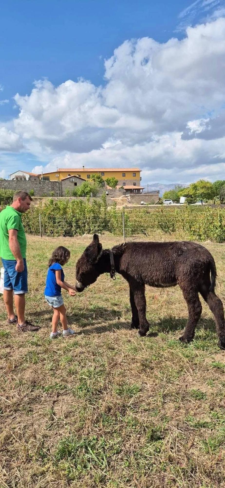 コビリャン Quinta Do Limite - Casa Do Camponesヴィラ エクステリア 写真